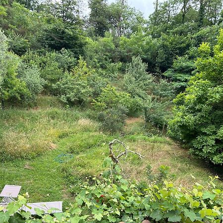 San Martino in Freddana Casa Octavia Bed & Breakfast エクステリア 写真