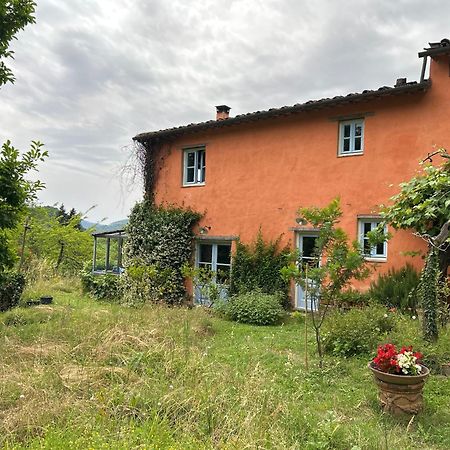San Martino in Freddana Casa Octavia Bed & Breakfast エクステリア 写真