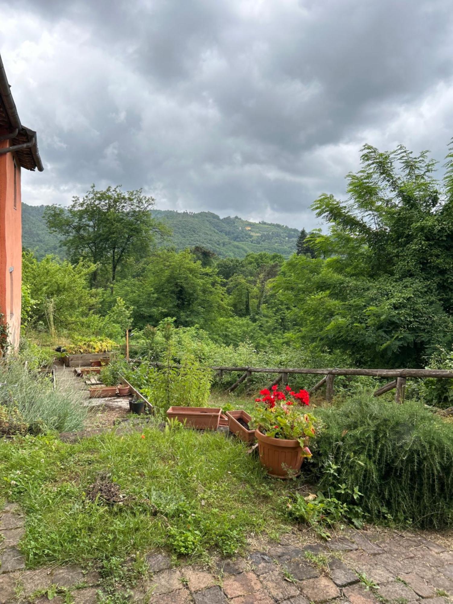 San Martino in Freddana Casa Octavia Bed & Breakfast エクステリア 写真