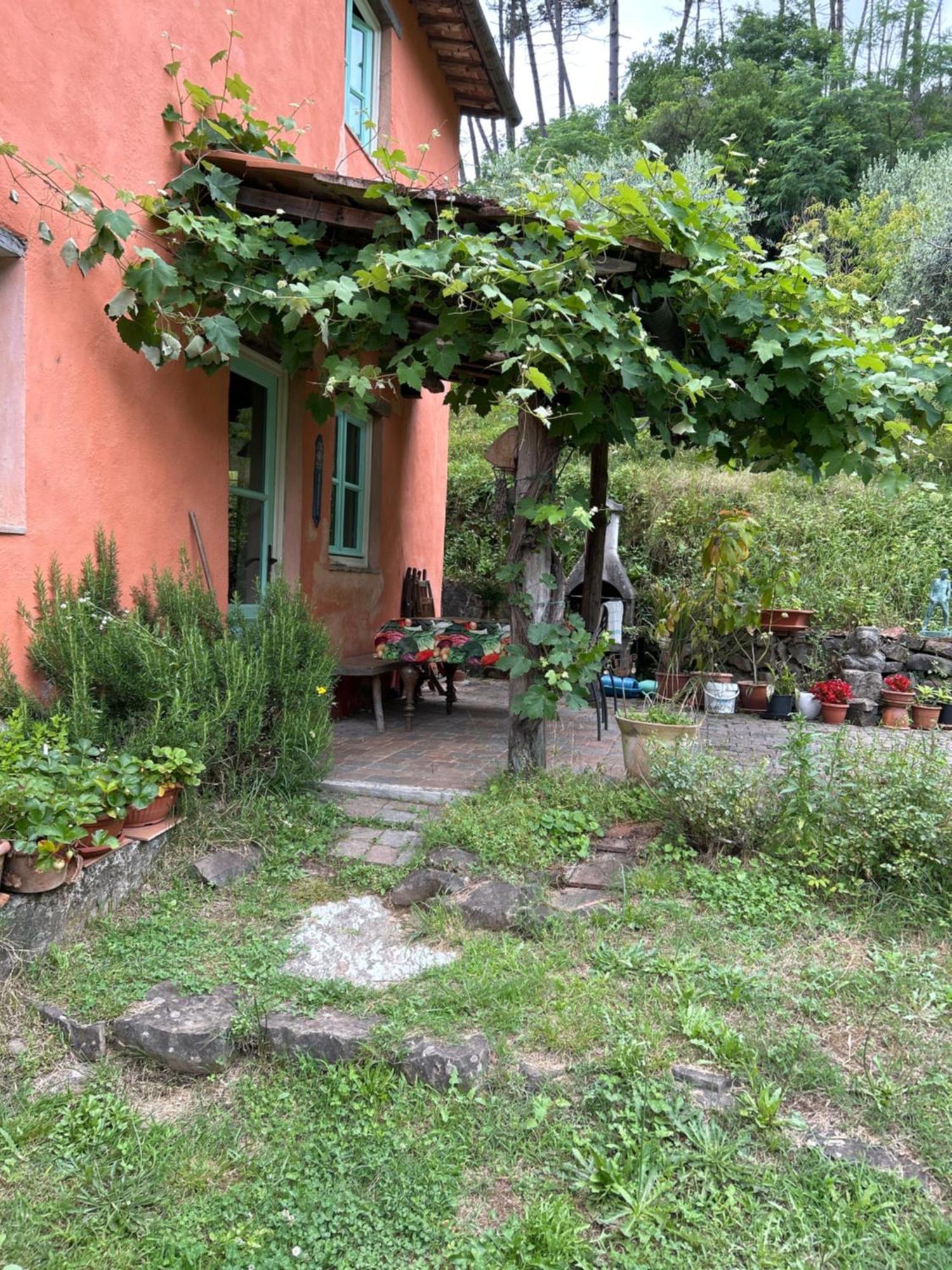 San Martino in Freddana Casa Octavia Bed & Breakfast エクステリア 写真